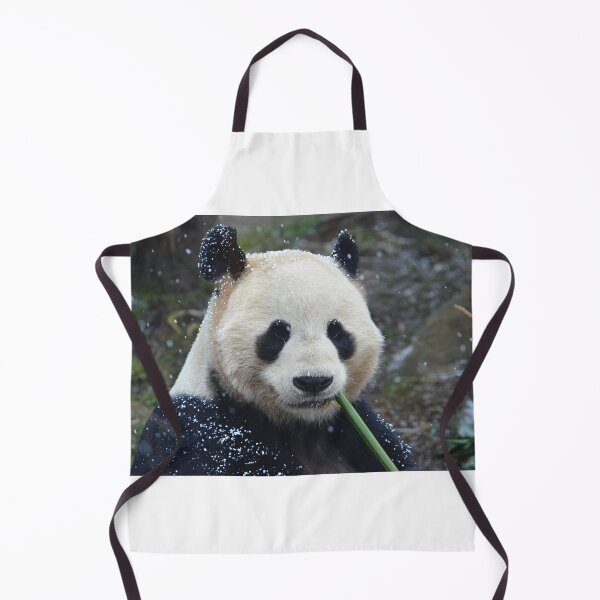 Item preview, Panda Yang Guang eating bamboo in the snow. designed and sold by Neil MacNeill.