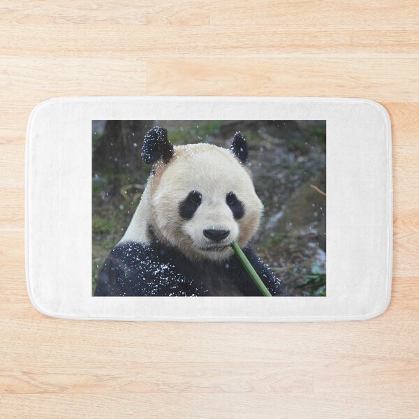 Item preview, Panda Yang Guang eating bamboo in the snow. designed and sold by Neil MacNeill.