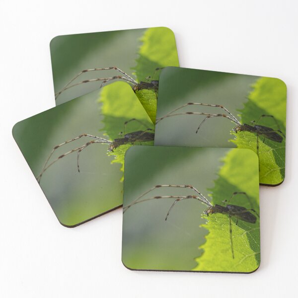 Item preview, Spider on Leaf designed and sold by SkyeNotions.