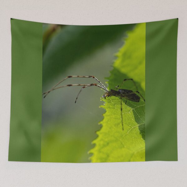 Item preview, Spider on Leaf designed and sold by SkyeNotions.