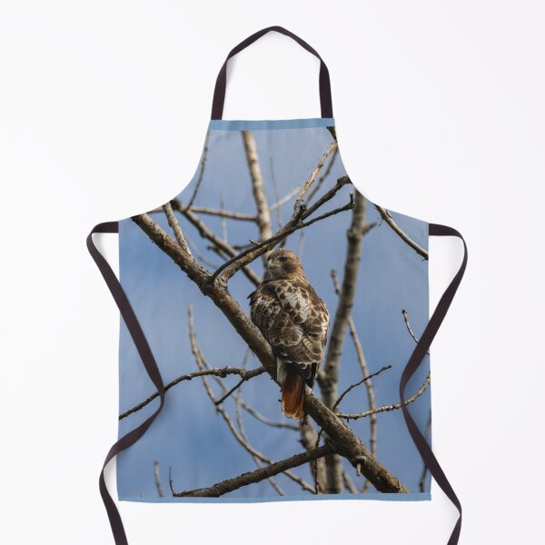 Item preview, Hawk in Tree designed and sold by SkyeNotions.
