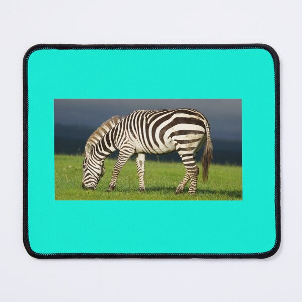 Item preview, The Grazing Zebra designed and sold by annenambiro.