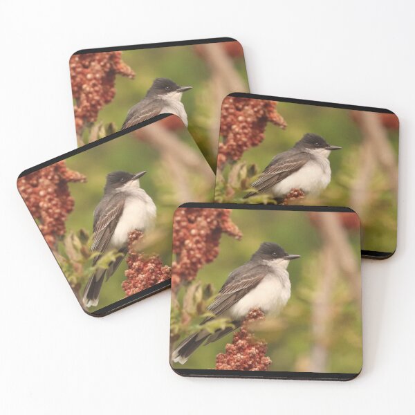 Item preview, Eastern Kingbird designed and sold by Judy Geller.