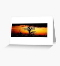 Tangled Outback Sunset © Vicki Ferrari Greeting Card