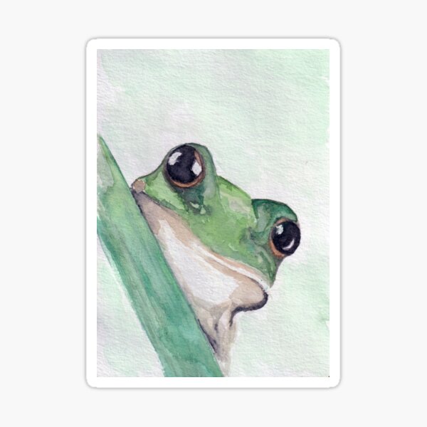 Mr. Sir Frog Stickers – Hollandaize Art