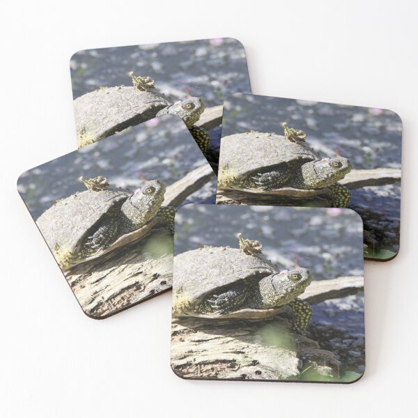 Item preview, European Pond Turtle, Emys orbicularis designed and sold by Zosimus.