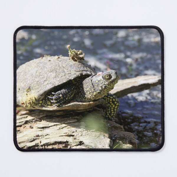 Item preview, European Pond Turtle, Emys orbicularis designed and sold by Zosimus.