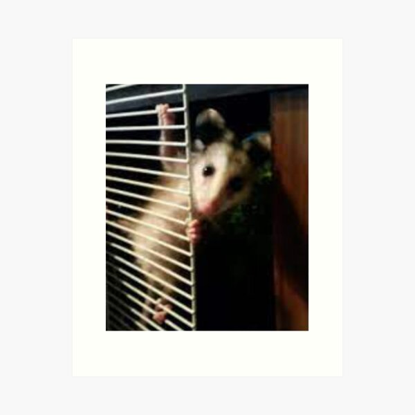 Item preview, dishwasher possum designed and sold by trendyygoods.