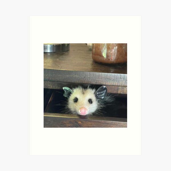Item preview, dishwasher possum designed and sold by trendyygoods.