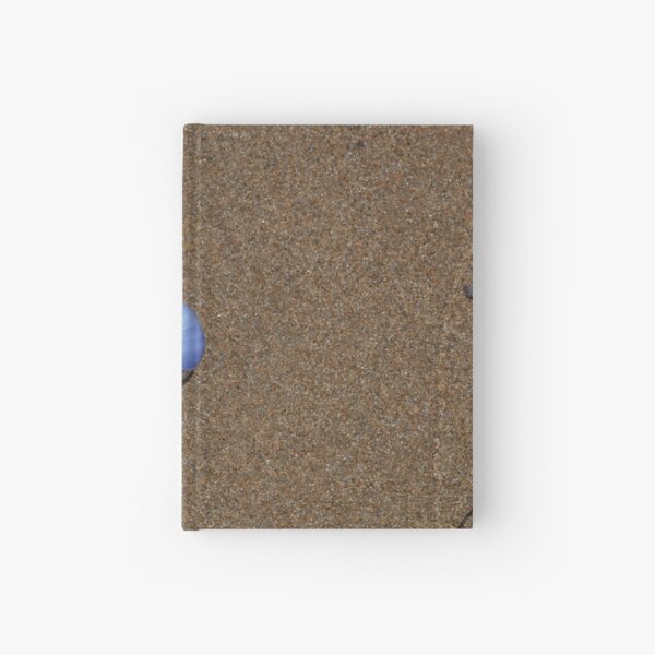 Item preview, A common violet sea snail, Janthina janthina, on a sandy beach designed and sold by Zosimus.
