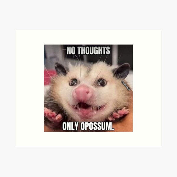 Item preview, possum meme no thoughts designed and sold by trendyygoods.