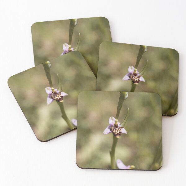 Item preview, Woodcock bee orchid, Ophrys scolopax designed and sold by Zosimus.