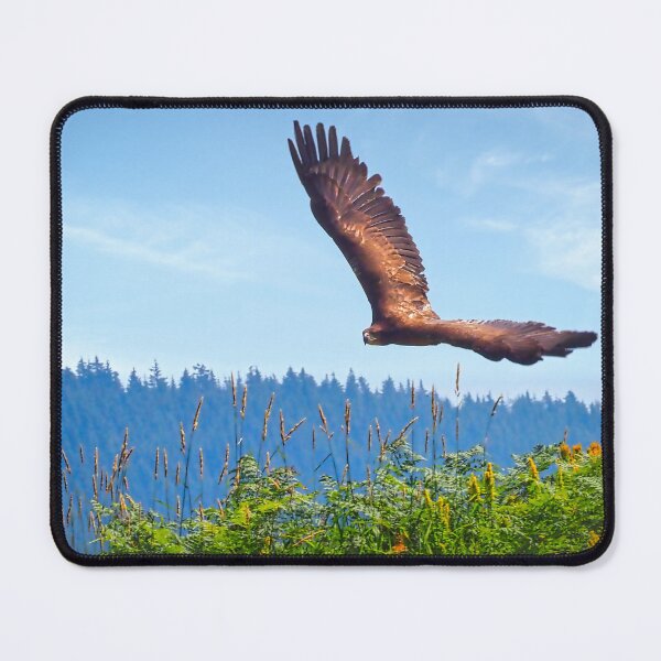 Item preview, Low Flying Eagle designed and sold by pcole123.