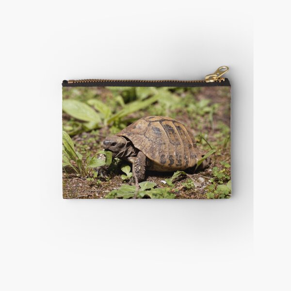 Item preview, Hermanns Tortoise, Testudo hermanni, on a meadow designed and sold by Zosimus.
