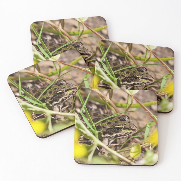 Item preview, Portrait of an Epirus water frog, Pelophylax epeiroticus designed and sold by Zosimus.