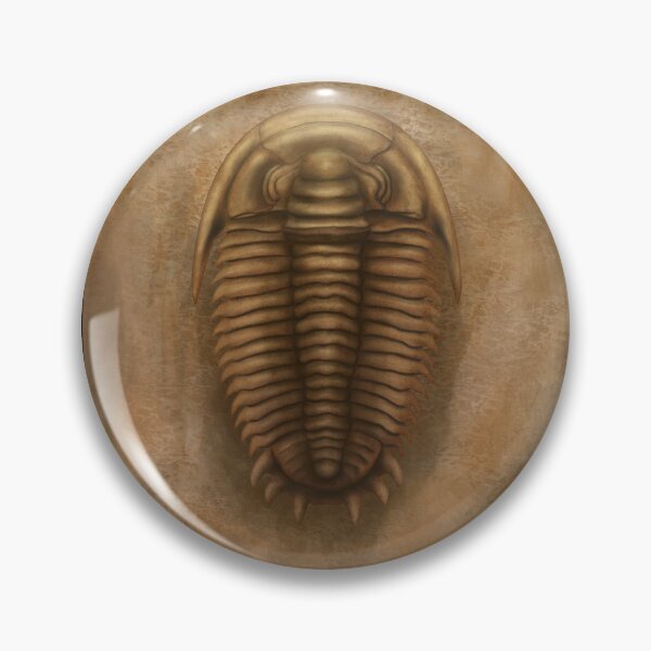 Item preview, Trilobite Fossil on Sandstone designed and sold by ElementalEmbers.