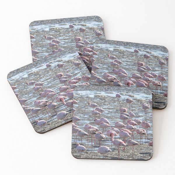 Item preview, Namibia. Walvis Bay. A Flamboyance of Flamingos.  designed and sold by vadim19.