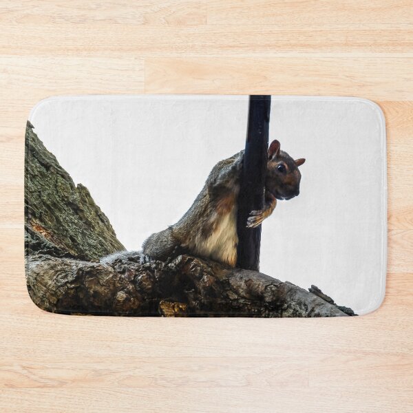 Item preview, OH NO! Don't Take My Nuts!  designed and sold by heatherfriedman.