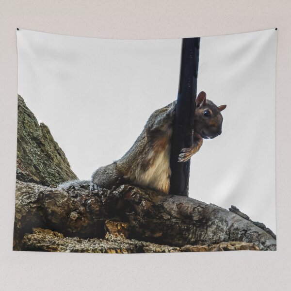 Item preview, OH NO! Don't Take My Nuts!  designed and sold by heatherfriedman.
