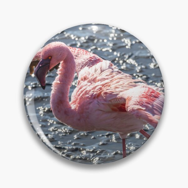 Item preview, Namibia. Walvis Bay. Flamingo Stretching Wings.  designed and sold by vadim19.