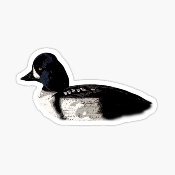 Artikel-Vorschau von Barrows Goldeneye Farbdesign, designt und verkauft von designsasstultd.