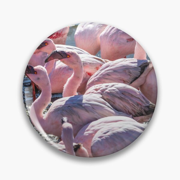 Item preview, Namibia. Walvis Bay. Another Flamboyance of Flamingos.  designed and sold by vadim19.