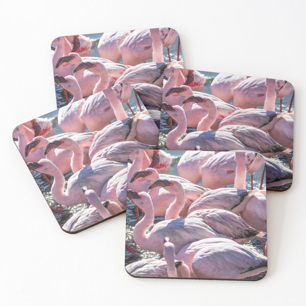 Item preview, Namibia. Walvis Bay. Another Flamboyance of Flamingos.  designed and sold by vadim19.