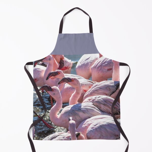 Item preview, Namibia. Walvis Bay. Another Flamboyance of Flamingos. designed and sold by vadim19.