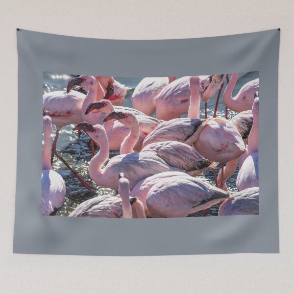Item preview, Namibia. Walvis Bay. Another Flamboyance of Flamingos.  designed and sold by vadim19.