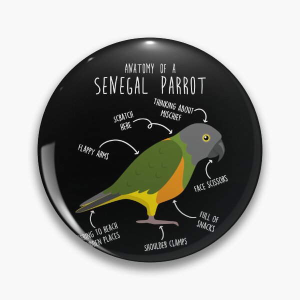 Item preview, Senegal Parrot Anatomy designed and sold by Clara Hollins.
