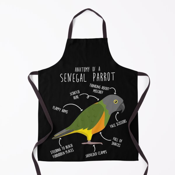 Item preview, Senegal Parrot Anatomy designed and sold by Clara Hollins.