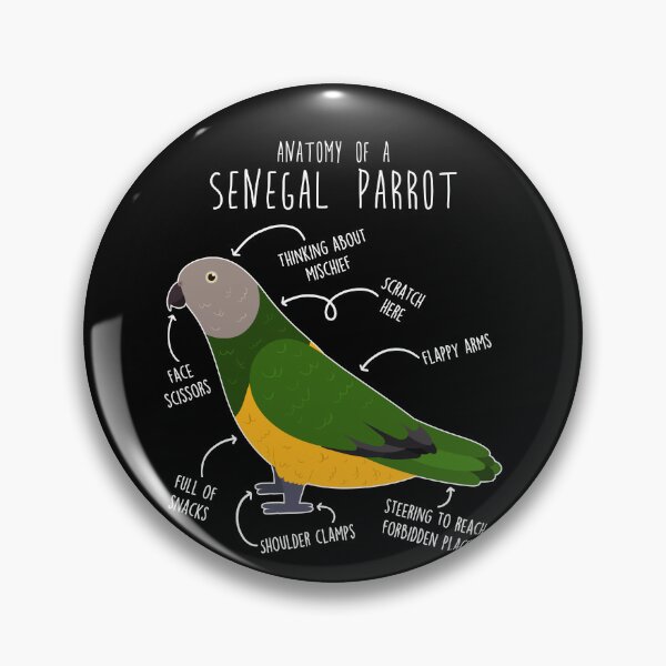 Item preview, Senegal Parrot Anatomy designed and sold by Clara Hollins.