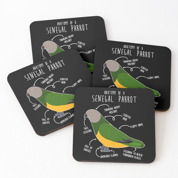 Item preview, Senegal Parrot Anatomy designed and sold by Clara Hollins.