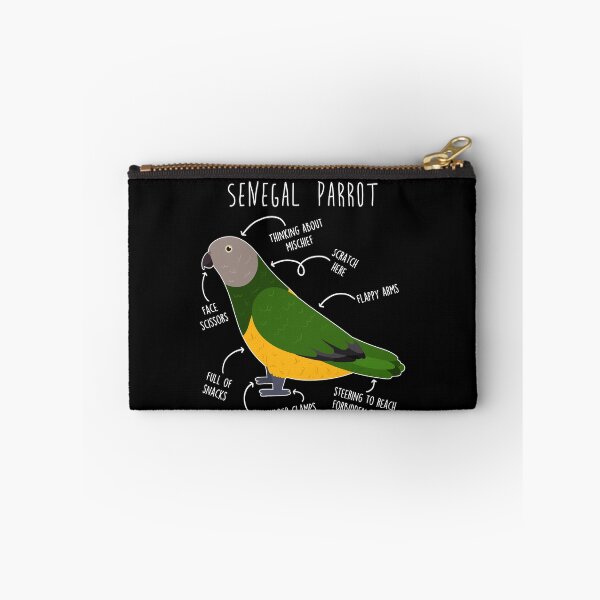 Item preview, Senegal Parrot Anatomy designed and sold by Clara Hollins.