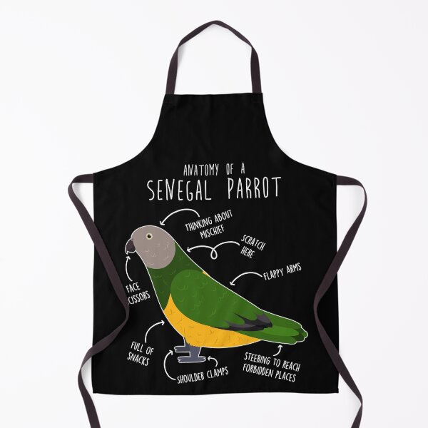 Item preview, Senegal Parrot Anatomy designed and sold by Clara Hollins.