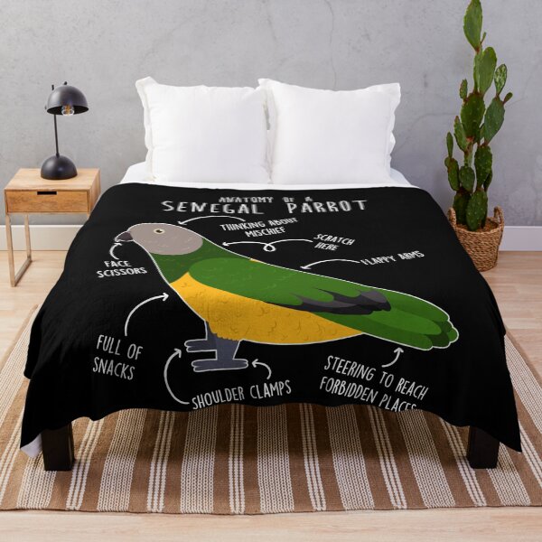 Item preview, Senegal Parrot Anatomy designed and sold by Clara Hollins.