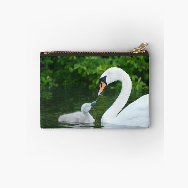 Item preview, Mother Swan feeding Cygnet on pond weed designed and sold by Tim Snow.