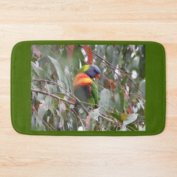 Item preview, Rainbow Lorikeet in Norton Summit designed and sold by Claire L Page Photography.