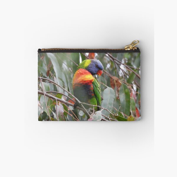 Item preview, Rainbow Lorikeet in Norton Summit designed and sold by Claire L Page Photography.