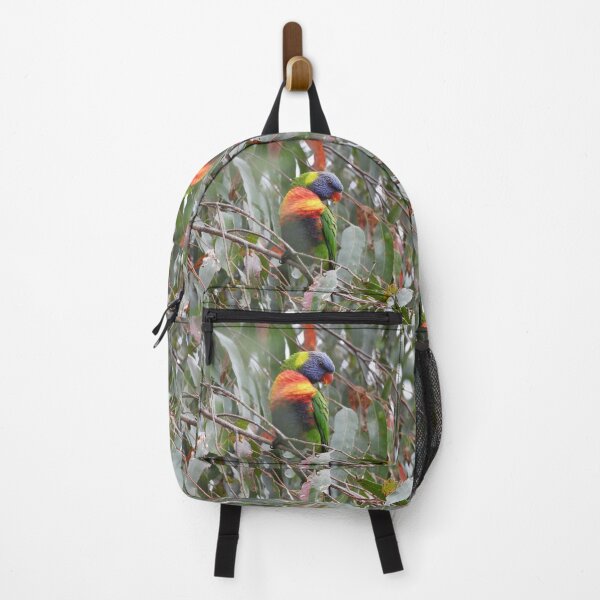 Item preview, Rainbow Lorikeet in Norton Summit designed and sold by Claire L Page Photography.