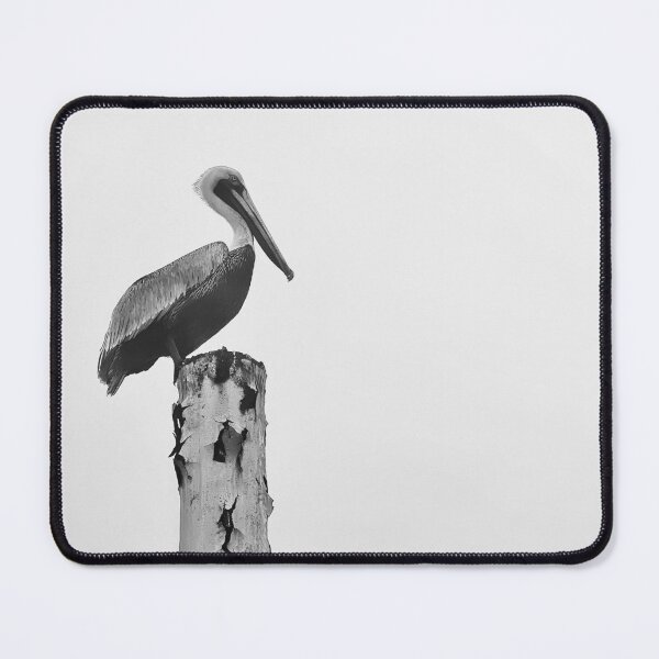 Item preview, Solitary Pelican designed and sold by Jason Tompkins.