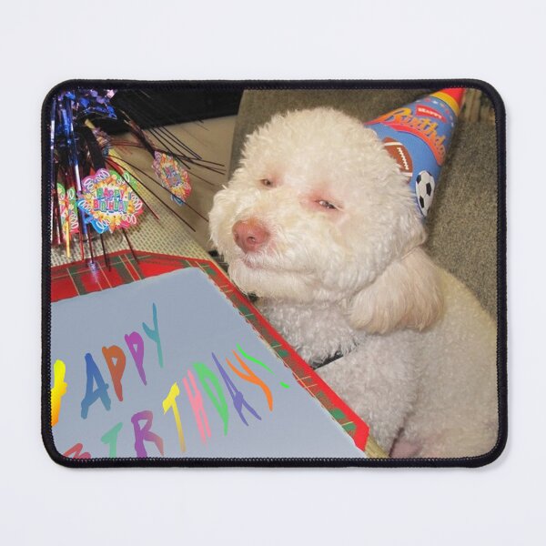 Item preview, Favorite Dog Birthday designed and sold by tinyrobotjunk.
