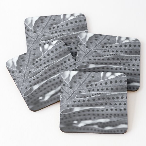 Item preview, backlit fern designed and sold by okomedesign.