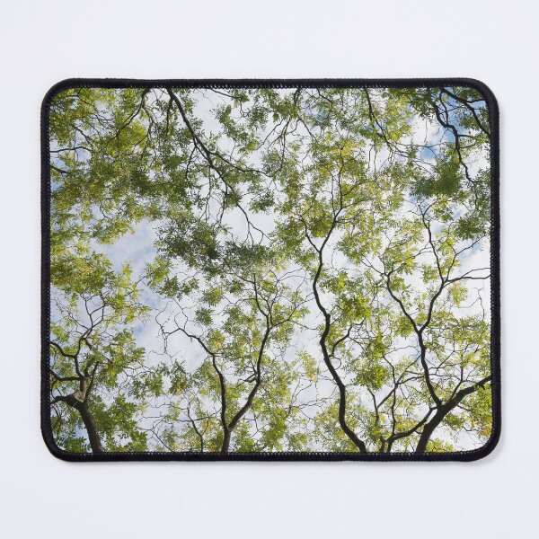Item preview, Tree Canopy in Green designed and sold by LizAlbroPhotos.