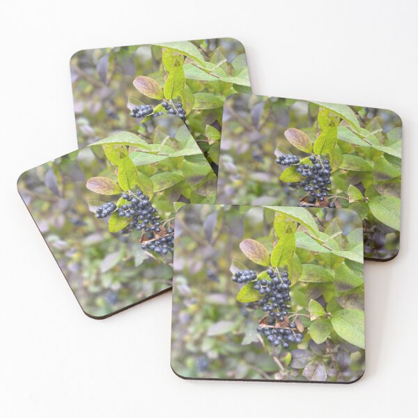 Item preview, Bayas en el patio trasero designed and sold by ETMphotoart.