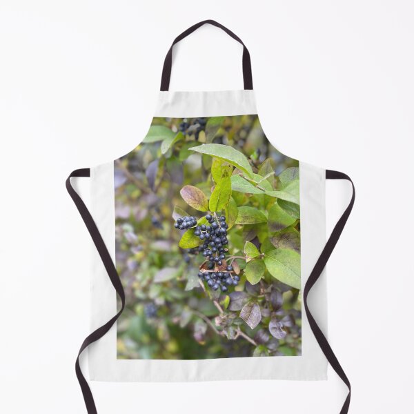 Item preview, Bayas en el patio trasero designed and sold by ETMphotoart.