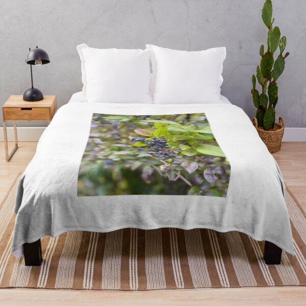 Item preview, Bayas en el patio trasero designed and sold by ETMphotoart.
