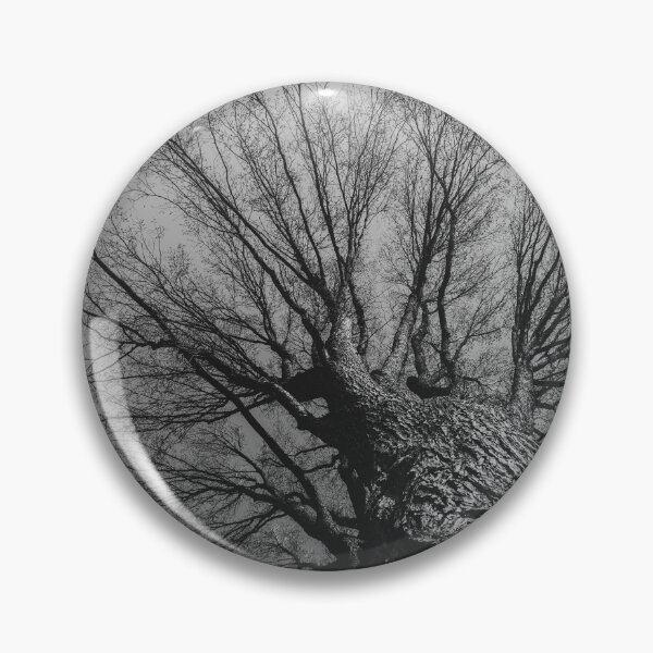 Item preview, Looking Up designed and sold by LizAlbroPhotos.