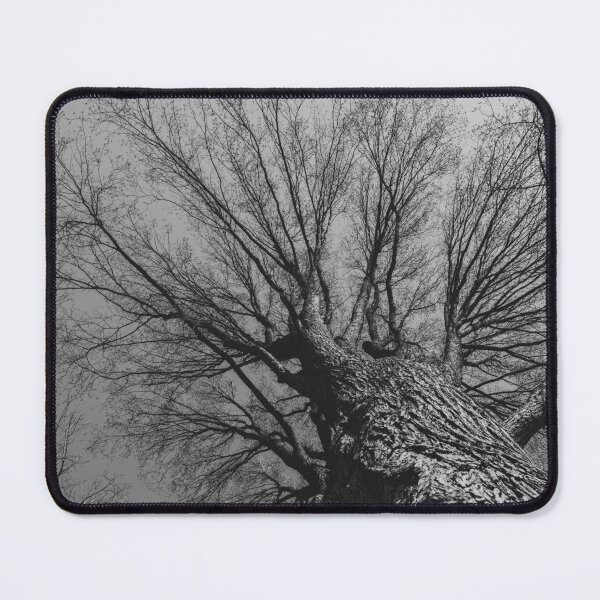 Item preview, Looking Up designed and sold by LizAlbroPhotos.