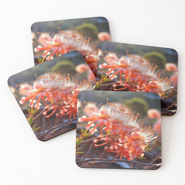 Item preview, Grevillea Flowers designed and sold by mshepdog.
